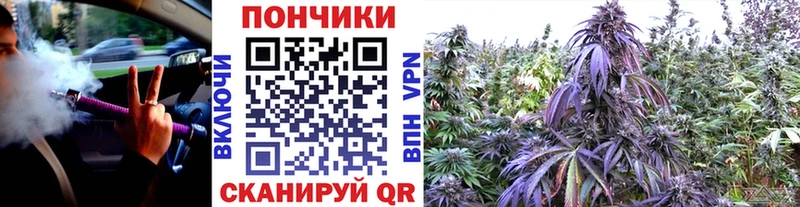 Шишки марихуана SATIVA & INDICA  наркота  Шлиссельбург 